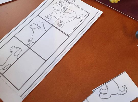 gr I Fotorelacja z tygodnia "Majowa łąka"