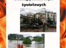 Dzielny jak strażak