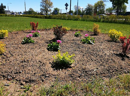 Kolejne zmiany w ogrodzie.