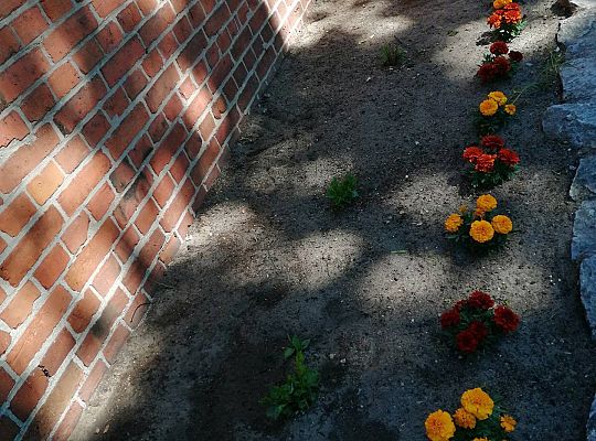 Kolejne zmiany w ogrodzie.