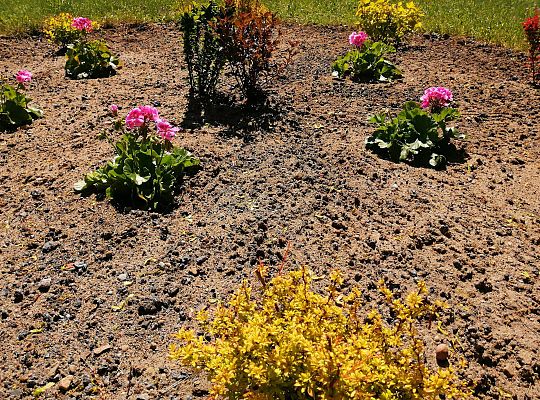 Kolejne zmiany w ogrodzie.