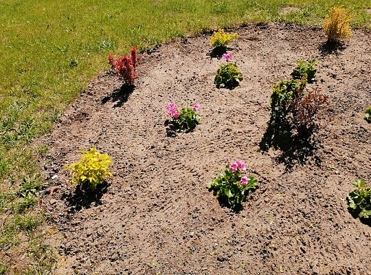 Kolejne zmiany w ogrodzie.