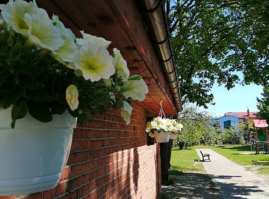 Kolejne zmiany w ogrodzie.