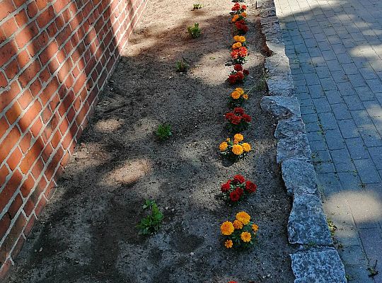 Kolejne zmiany w ogrodzie.