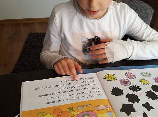 Gr IV Fotorelacja z tygodnia " Moja rodzina"