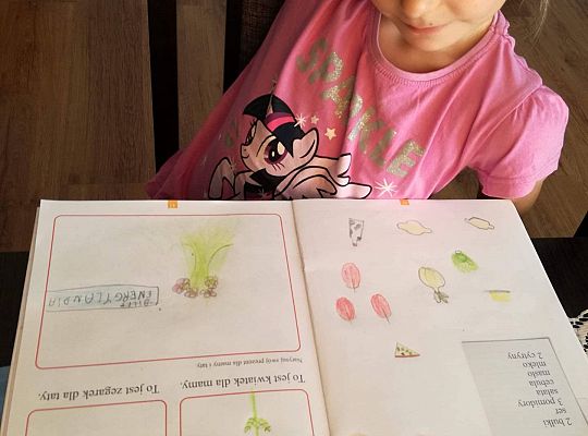 Gr IV Fotorelacja z tygodnia " Moja rodzina"