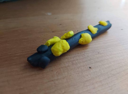 GR IV Fotorelacja z tygodnia "Święto dzieci"