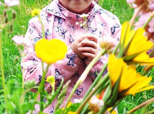 GR III tydzień 08.06-12.06 " Co piszczy w trawie"