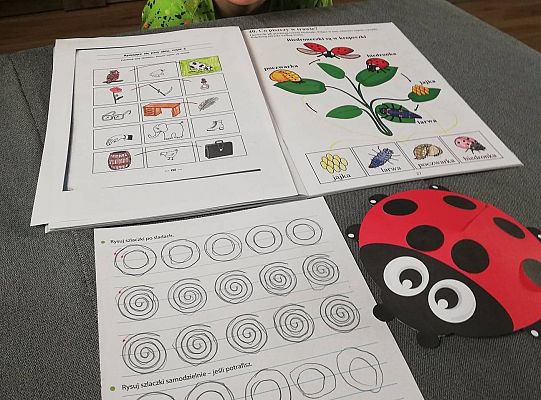 GR III tydzień 08.06-12.06 " Co piszczy w trawie"