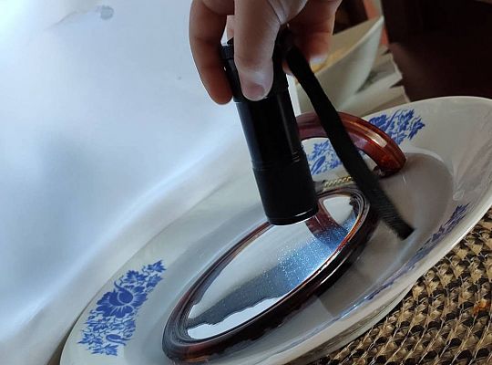 GR III tydzień 08.06-12.06 " Co piszczy w trawie"