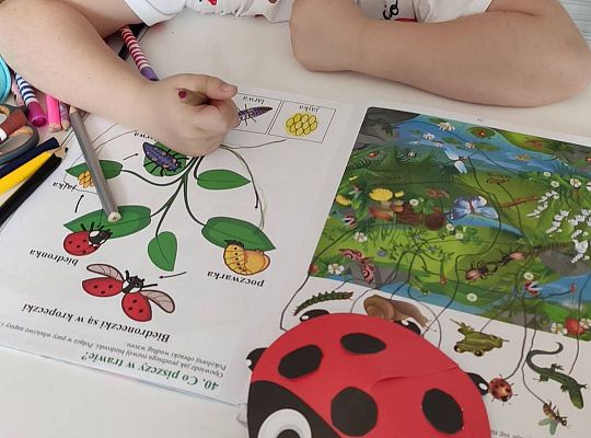 GR III tydzień 08.06-12.06 " Co piszczy w trawie"