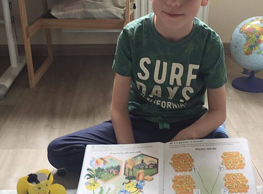 GR III tydzień 08.06-12.06 " Co piszczy w trawie"