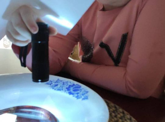 GR III tydzień 08.06-12.06 " Co piszczy w trawie"