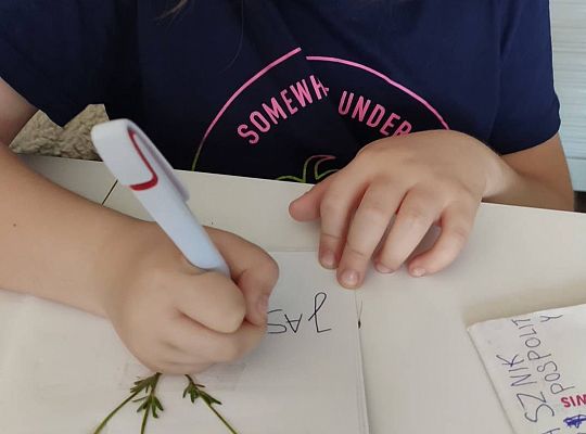 GR III tydzień 08.06-12.06 " Co piszczy w trawie"