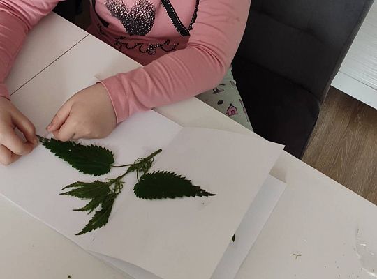 GR III tydzień 08.06-12.06 " Co piszczy w trawie"