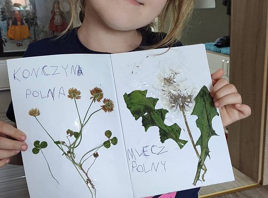 GR III tydzień 08.06-12.06 " Co piszczy w trawie"