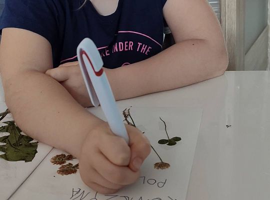 GR III tydzień 08.06-12.06 " Co piszczy w trawie"