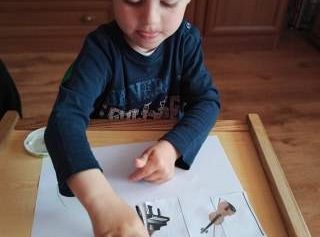 Gr I -fotorelacja z tygodnia "W Krainie Muzyki"