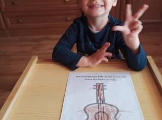 Gr I -fotorelacja z tygodnia "W Krainie Muzyki"