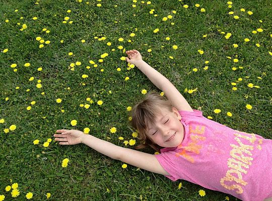 GR IV Fotorelacja z tygodnia "Mieszkańcy łąki"