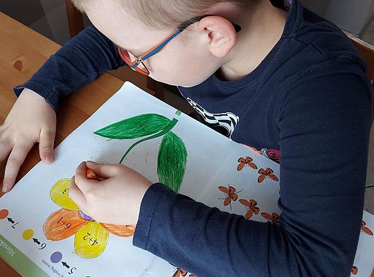 GR IV Fotorelacja z tygodnia "Mieszkańcy łąki"