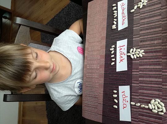 GR IV Fotorelacja z tygodnia "Mieszkańcy łąki"