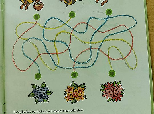 GR IV Fotorelacja z tygodnia "Mieszkańcy łąki"