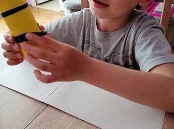 GR IV Fotorelacja z tygodnia "Mieszkańcy łąki"