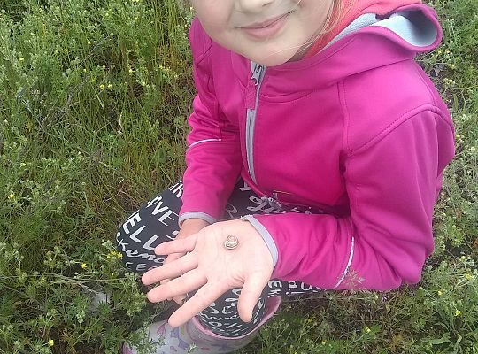 GR IV Fotorelacja z tygodnia "Mieszkańcy łąki"