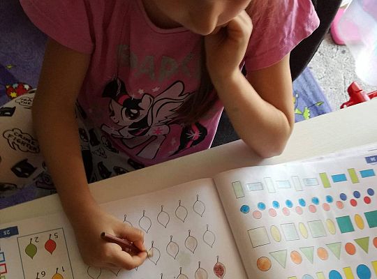 GR IV Fotorelacja z tygodnia "Mieszkańcy łąki"