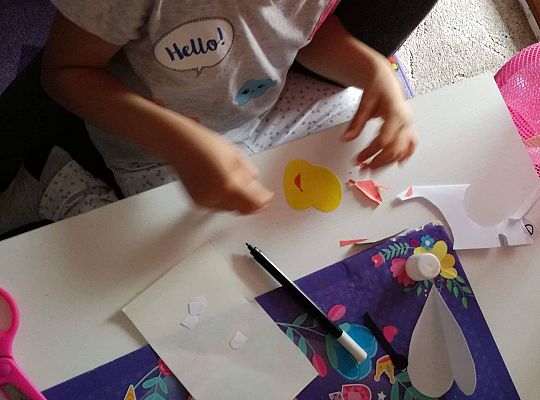 GR IV Fotorelacja z tygodnia "Mieszkańcy łąki"