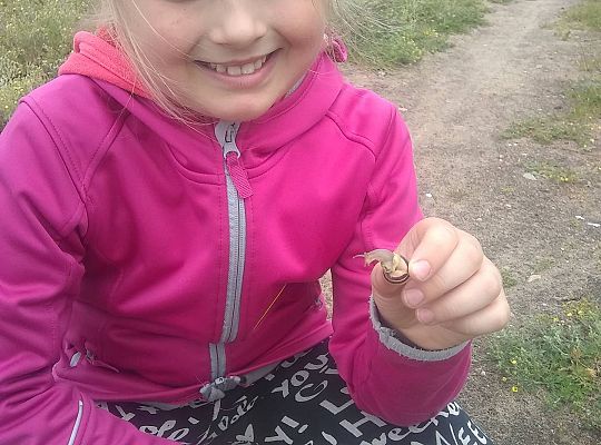 GR IV Fotorelacja z tygodnia "Mieszkańcy łąki"