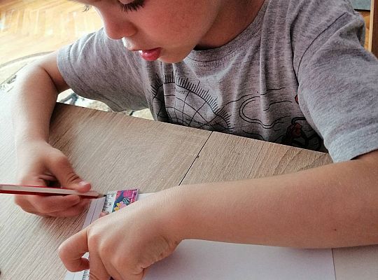 GR IV Fotorelacja z tygodnia "Mieszkańcy łąki"