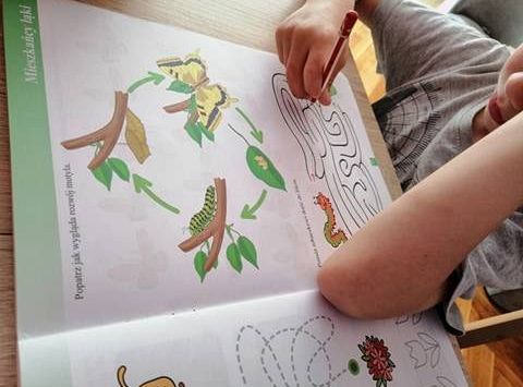 GR IV Fotorelacja z tygodnia "Mieszkańcy łąki"