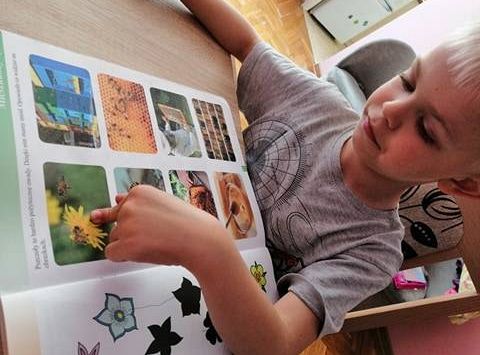 GR IV Fotorelacja z tygodnia "Mieszkańcy łąki"