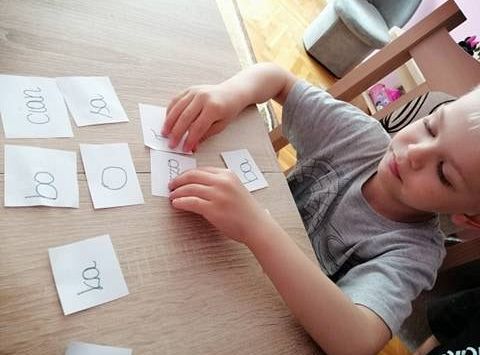 GR IV Fotorelacja z tygodnia "Mieszkańcy łąki"