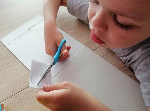 GR IV Fotorelacja z tygodnia "Mieszkańcy łąki"