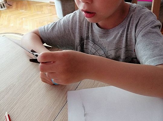 GR IV Fotorelacja z tygodnia "Mieszkańcy łąki"