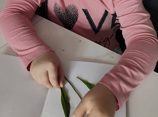 GR III tydzień 15.06-19.06 "Czym podróżujemy"