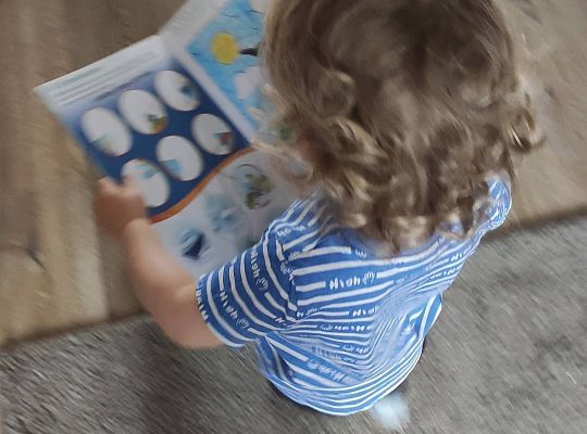 GR III tydzień 15.06-19.06 "Czym podróżujemy"