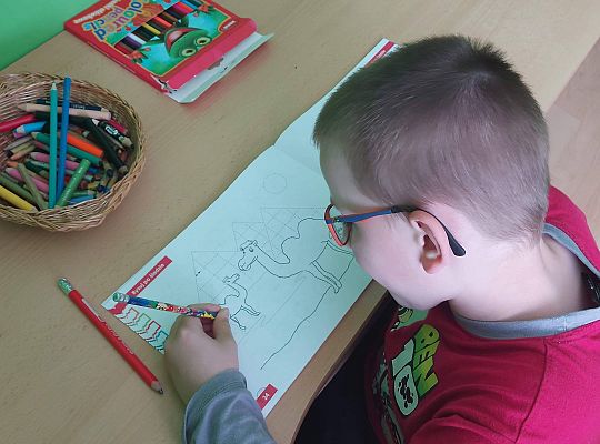 Gr IV Fotorelacja z tygodnia "Środki lokomocji"