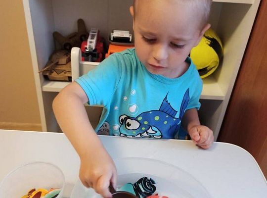 Gr I Ostatnie zajęcia i wakacje!