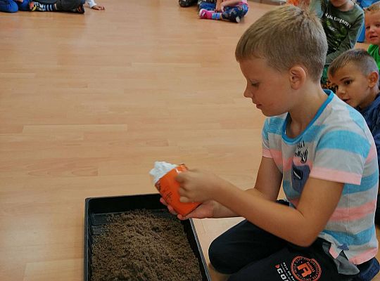 GR IV  Robimy piasek kinetyczny