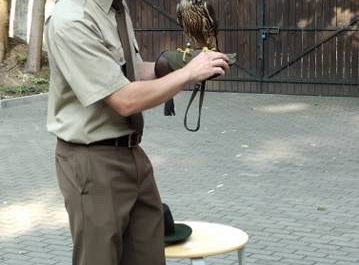 Gr III Spotkanie z myśliwym oraz sokolnikiem z Koła Łowieckiego "Głuszec"