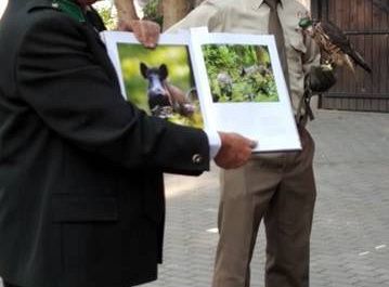 Gr III Spotkanie z myśliwym oraz sokolnikiem z Koła Łowieckiego "Głuszec"