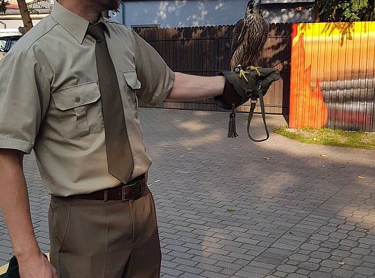 GR IV Spotkanie z myśliwym oraz sokolnikiem z Koła Łowieckiego "Głuszec"