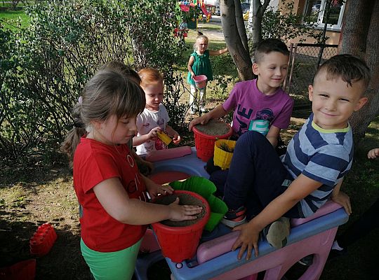 GR IV Zabawy na placu zabaw