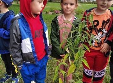 GR III Kolejne zadanie w ramach projektu "Ożywić pola"