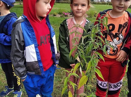 GR III Kolejne zadanie w ramach projektu "Ożywić pola"