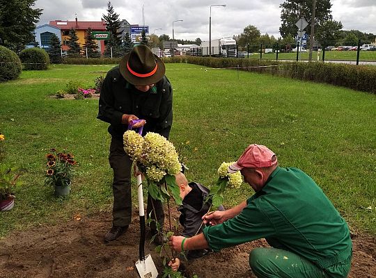 GR III Kolejne zadanie w ramach projektu "Ożywić pola"